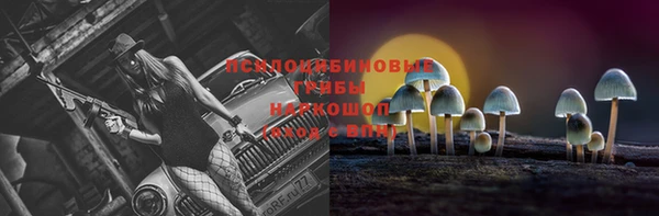первитин Новодвинск