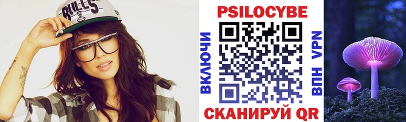 Псилоцибиновые грибы Psilocybe  Струнино 