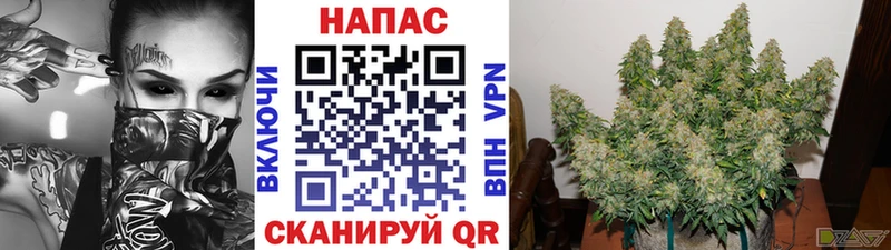 Бошки Шишки THC 21%  hydra ссылка  Струнино  хочу наркоту 